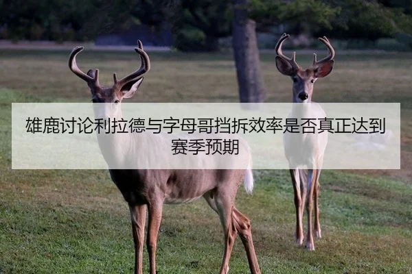 雄鹿讨论利拉德与字母哥挡拆效率是否真正达到赛季预期