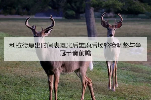 利拉德复出时间表曝光后雄鹿后场轮换调整与争冠节奏前瞻